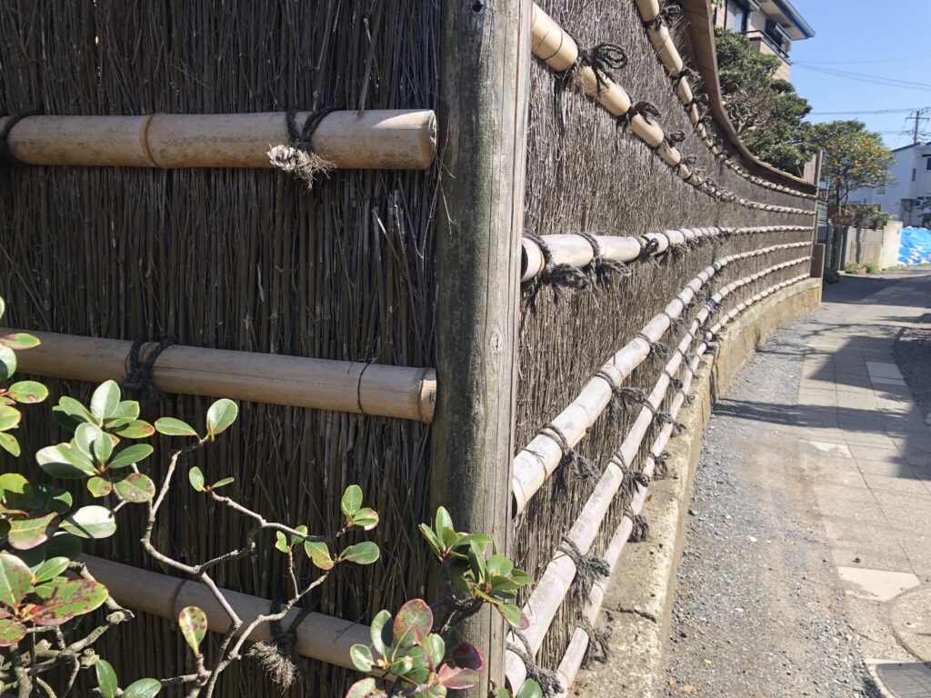 Ura roji