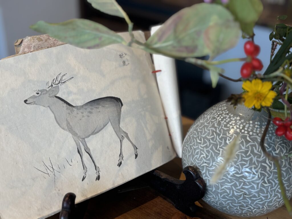 Mindfulness Tea Ceremony Kamakura A Guest from France