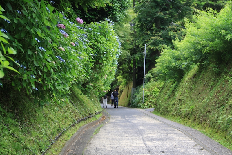 Kamegayatsu Kiridoshi Pass