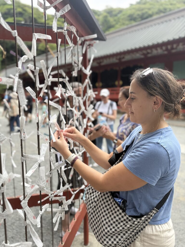 Omikuji - paper fortunes