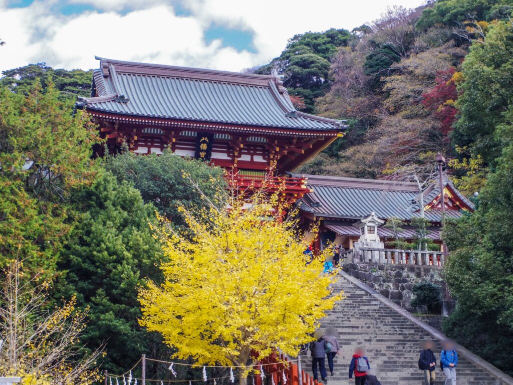 Tsurugaoka Hachimangu Shrine autumn leaves with main hall