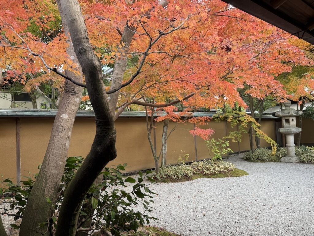 Ichijo Ekan Sanso autumn leaves