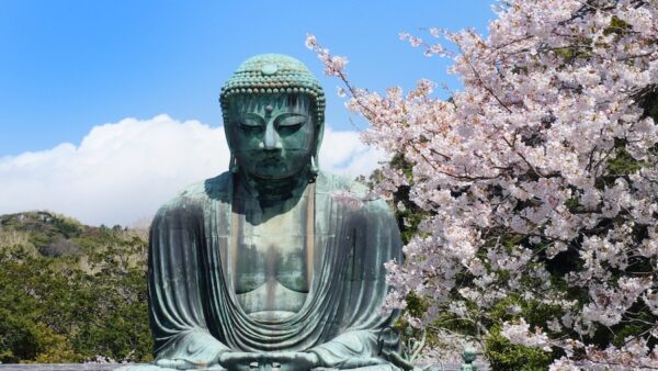 The Great Buddha of Kamakura with cherry blossoms